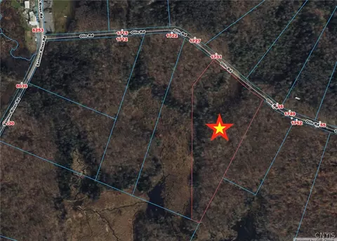 Olin Road, Montague, NY 13367