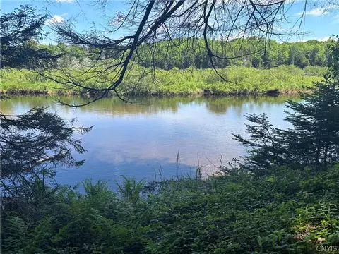 287 Pine St, Webb, NY 13420 photo 28