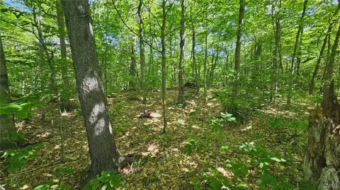 Summit Place, Webb, NY 13420 photo 2