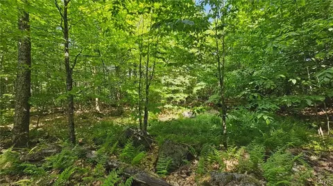 Summit Place, Webb, NY 13420 photo 5