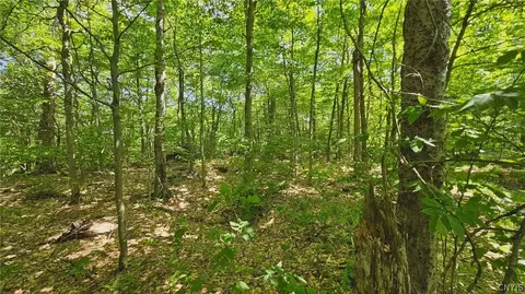 Summit Place, Webb, NY 13420 photo 3