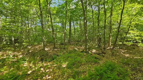 Summit Place, Webb, NY 13420 photo 4