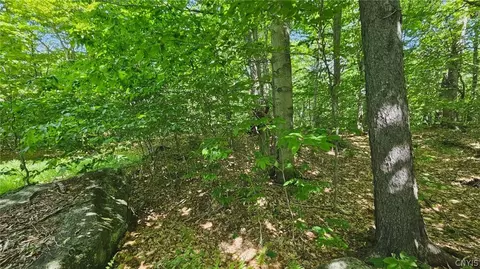 Summit Place, Webb, NY 13420