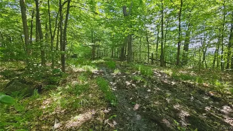 Summit Place, Webb, NY 13420 photo 6