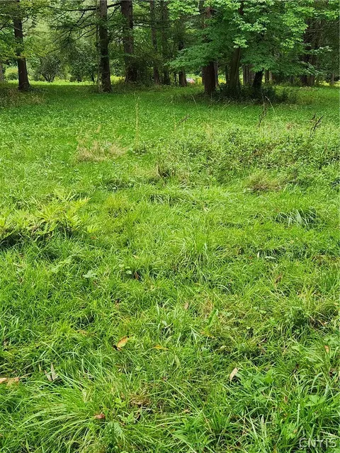 0 Lot2 Cortland Rd, Dryden, NY 13053