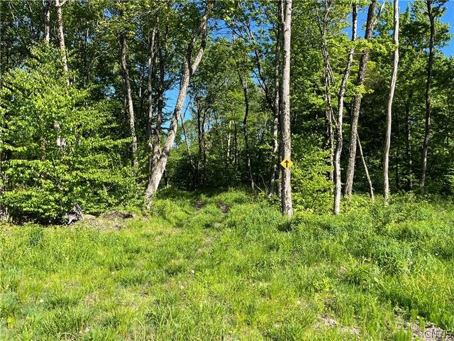 0 Co Rt 17, Redfield, NY 13437