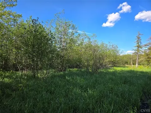 Hermitage Road, Wethersfield, NY 14569 photo 15