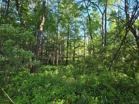 Hermitage Road, Wethersfield, NY 14569 photo 17