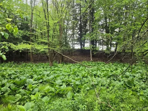 Hermitage Road, Wethersfield, NY 14569 photo 11