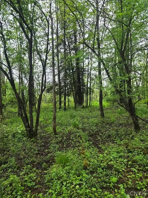 Hermitage Road, Wethersfield, NY 14569 photo 12