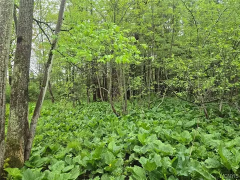 Hermitage Road, Wethersfield, NY 14569 photo 24