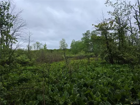 Hermitage Road, Wethersfield, NY 14569 photo 28