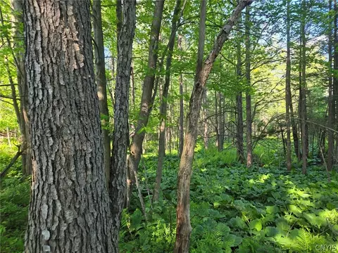 Hermitage Road, Wethersfield, NY 14569 photo 19