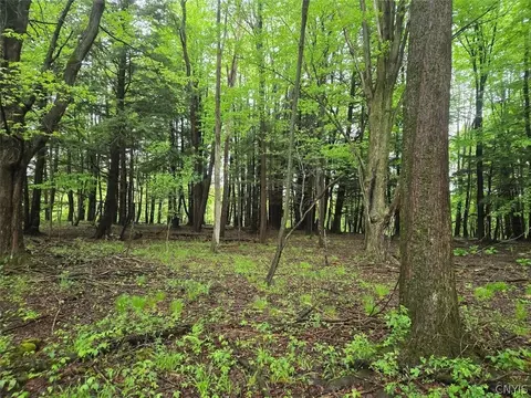 Hermitage Road, Wethersfield, NY 14569 photo 8