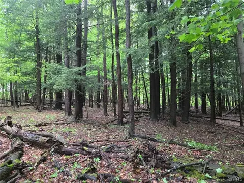 Hermitage Road, Wethersfield, NY 14569 photo 22