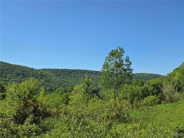 Nys Route 446, Hinsdale, NY 14727