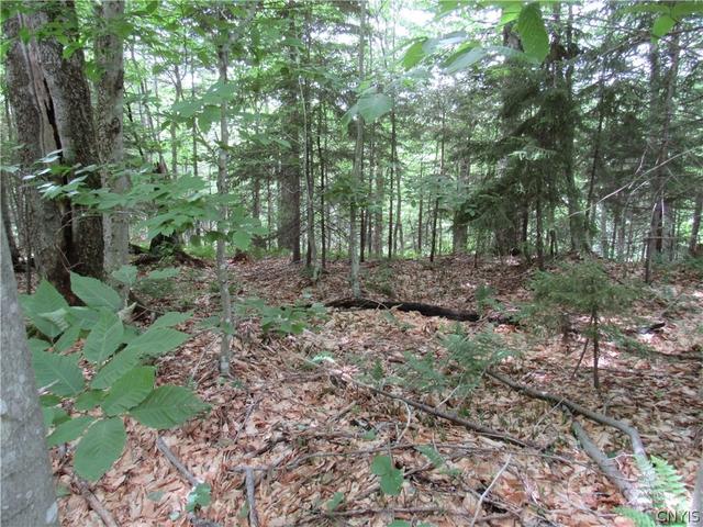Palisades Road, Webb, NY 13420
