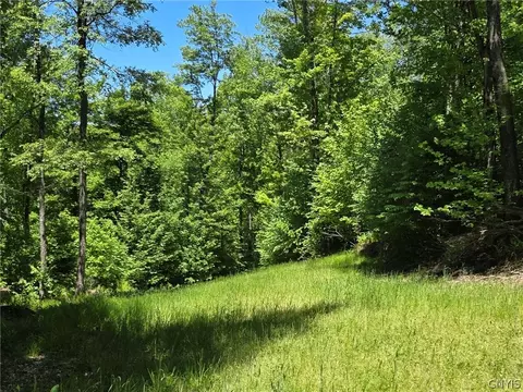 Lillibridge Rd, Olean, NY 14760 photo 47