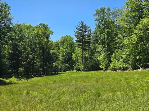 Lillibridge Rd, Olean, NY 14760 photo 19