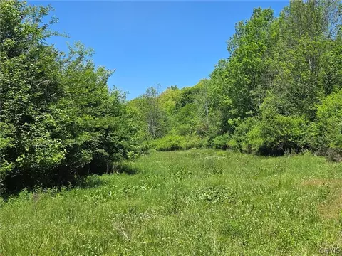Lillibridge Rd, Olean, NY 14760 photo 15