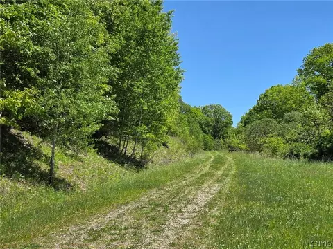 Lillibridge Rd, Olean, NY 14760 photo 28