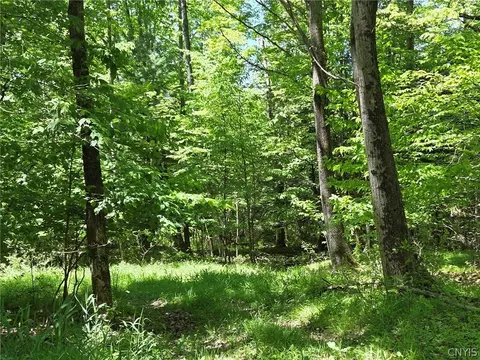 Lillibridge Rd, Olean, NY 14760 photo 41