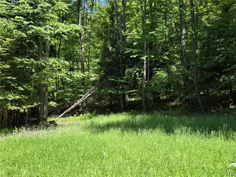 Lillibridge Rd, Olean, NY 14760 photo 48