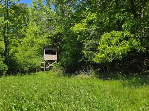 Lillibridge Rd, Olean, NY 14760 photo 6