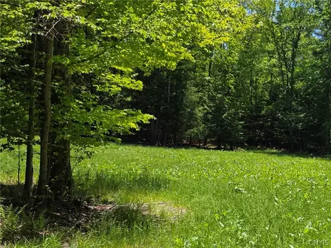 Lillibridge Rd, Olean, NY 14760 photo 30