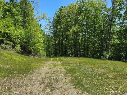 Lillibridge Rd, Olean, NY 14760 photo 10