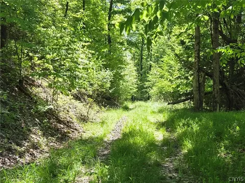 Lillibridge Rd, Olean, NY 14760 photo 40