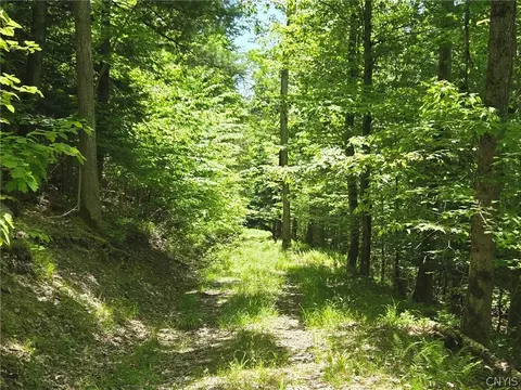 Lillibridge Rd, Olean, NY 14760 photo 44