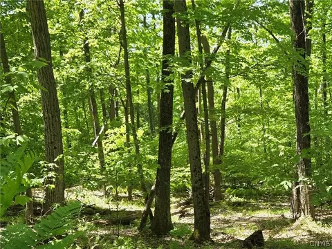 Lillibridge Rd, Olean, NY 14760 photo 17