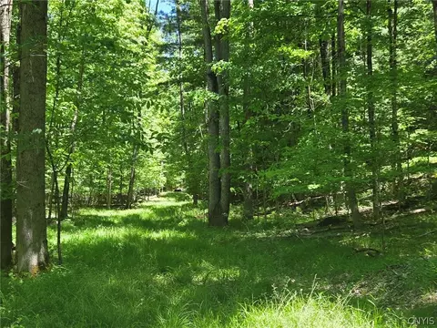 Lillibridge Rd, Olean, NY 14760 photo 46
