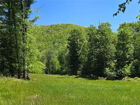 Lillibridge Rd, Olean, NY 14760 photo 1