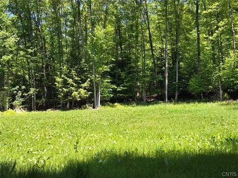 Lillibridge Rd, Olean, NY 14760 photo 14