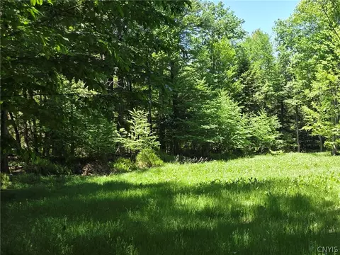 Lillibridge Rd, Olean, NY 14760 photo 26