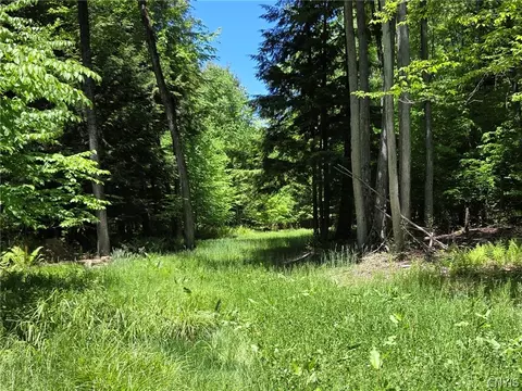 Lillibridge Rd, Olean, NY 14760 photo 42
