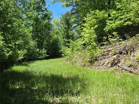 Lillibridge Rd, Olean, NY 14760 photo 38