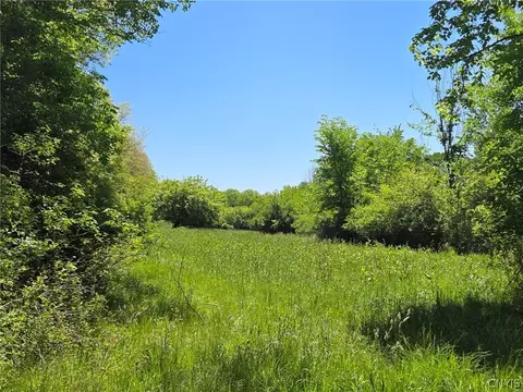 Lillibridge Rd, Olean, NY 14760 photo 20