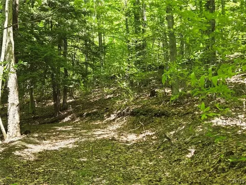 Lillibridge Rd, Olean, NY 14760 photo 21