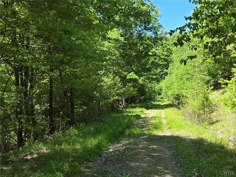 Lillibridge Rd, Olean, NY 14760 photo 45