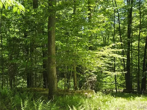 Lillibridge Rd, Olean, NY 14760 photo 36