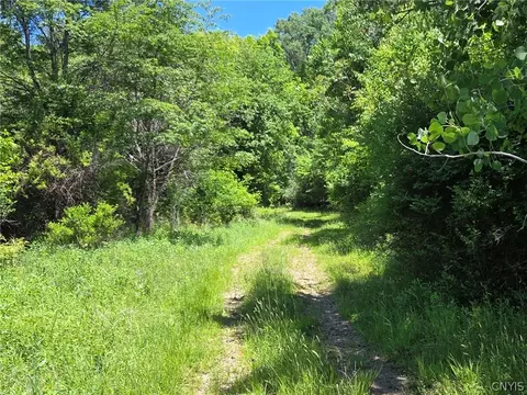 Lillibridge Rd, Olean, NY 14760 photo 11