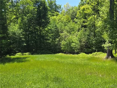 Lillibridge Rd, Olean, NY 14760 photo 31