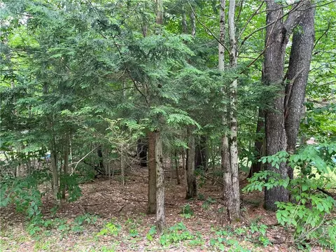 Pine Cone Lane, Watson, NY 13343
