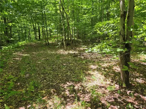 Moose River Road, Lyonsdale, NY 13433