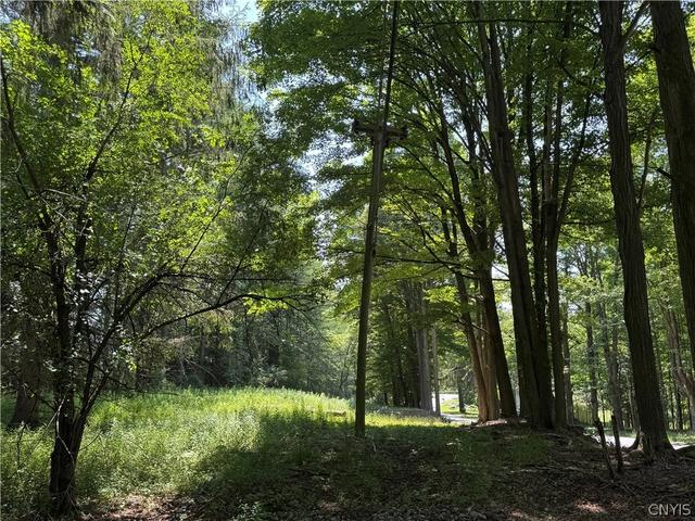 1 Bonney Hill Rd, Hamilton, NY 13346