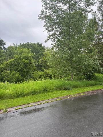 7985 Everglades Dr, Manlius, NY 13104