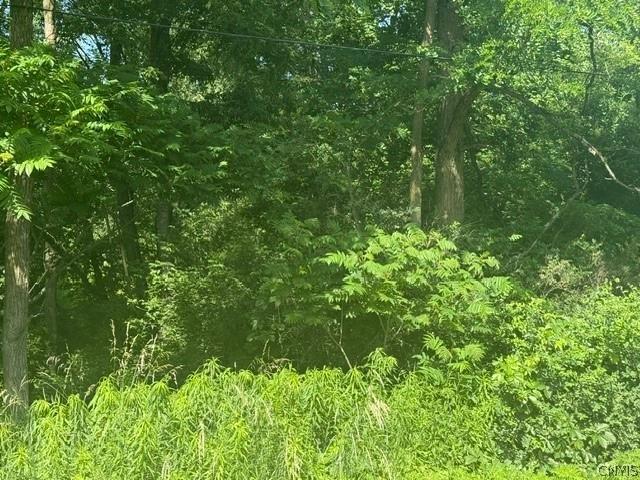 Wothe Freeman Road, Lincklaen, NY 13052